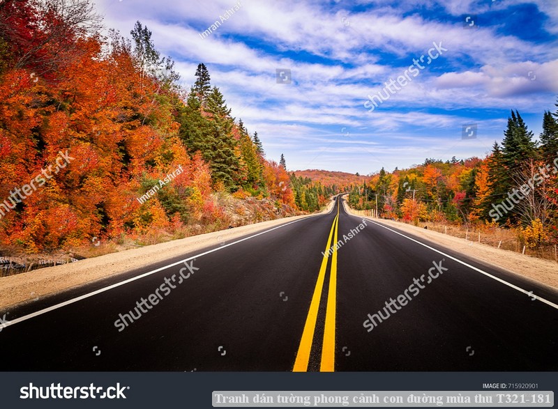 Tranh dán tường phong cảnh con đường mùa thu T321-181